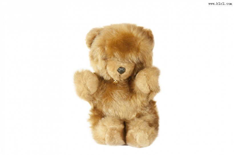 玩具熊图片大全