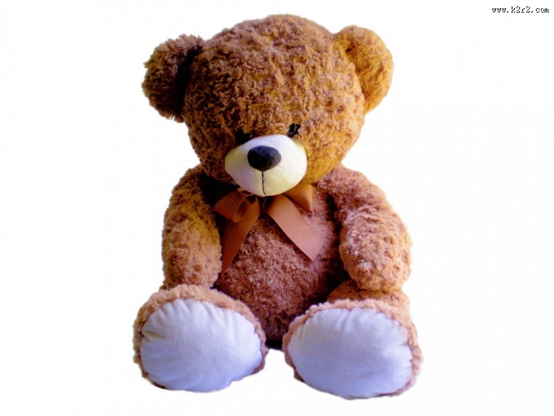 玩具熊图片大全