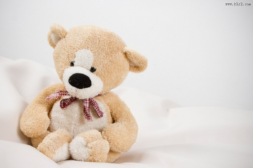 玩具熊图片大全
