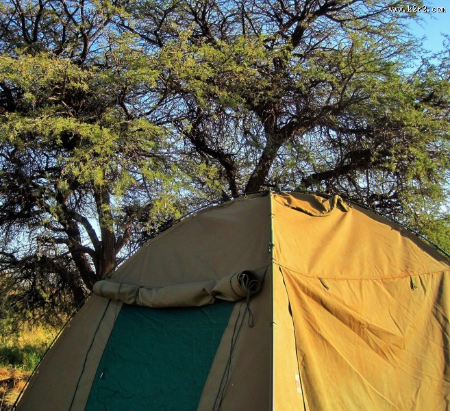 野营帐篷图片大全