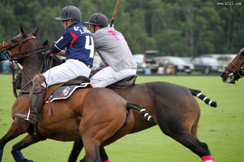 紧张激烈的马球运动图片