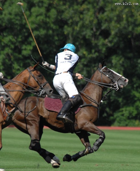 紧张激烈的马球运动图片