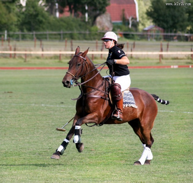 紧张激烈的马球运动图片