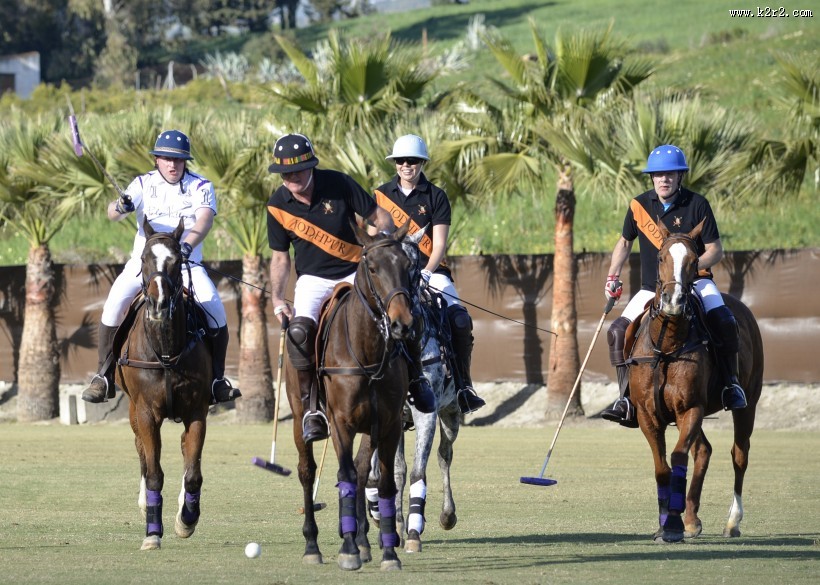 紧张激烈的马球运动图片