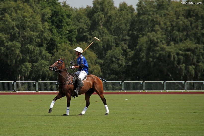 紧张激烈的马球运动图片