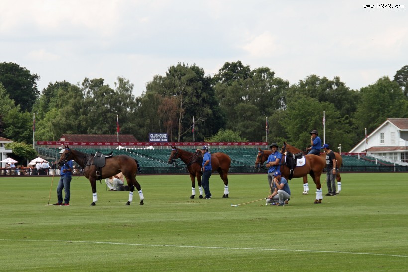 紧张激烈的马球运动图片