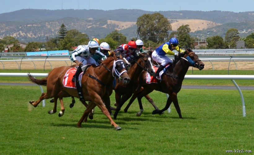 紧张刺激的赛马比赛图片