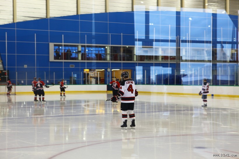 曲棍球运动图片大全