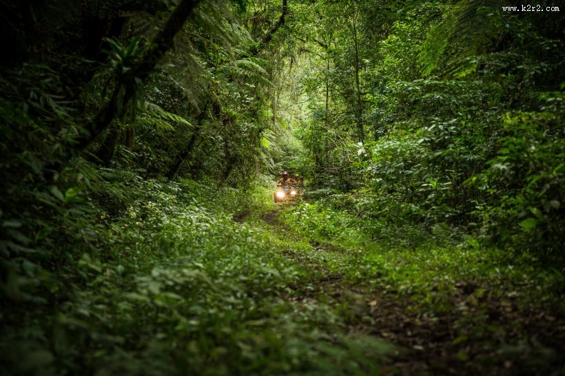 林中竞技的四轮赛车驶图片