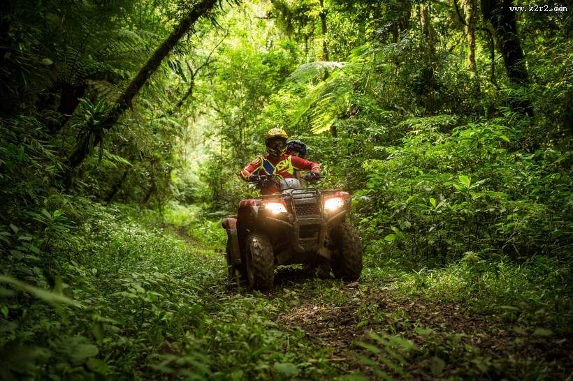 林中竞技的四轮赛车驶图片