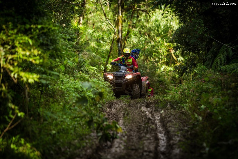 林中竞技的四轮赛车驶图片