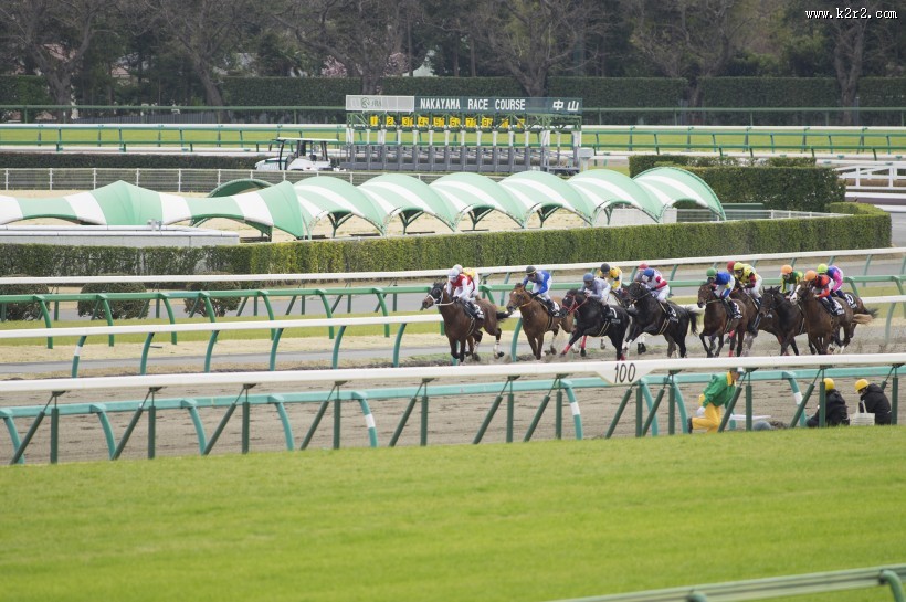 激烈的赛马比赛图片