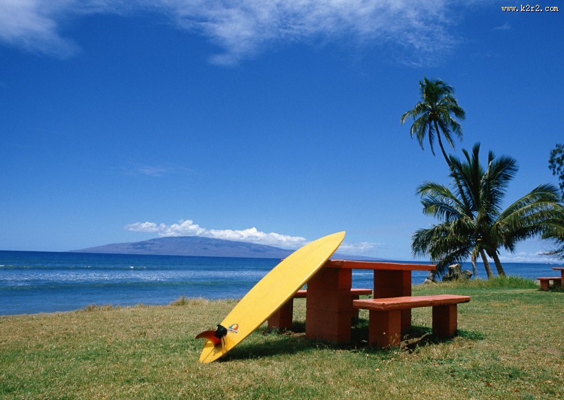 海边休闲娱乐活动图片大全