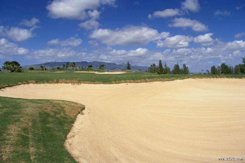 高尔夫运动图片大全