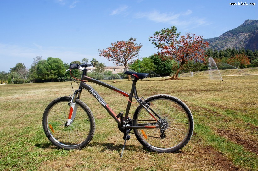 草地上的自行车图片