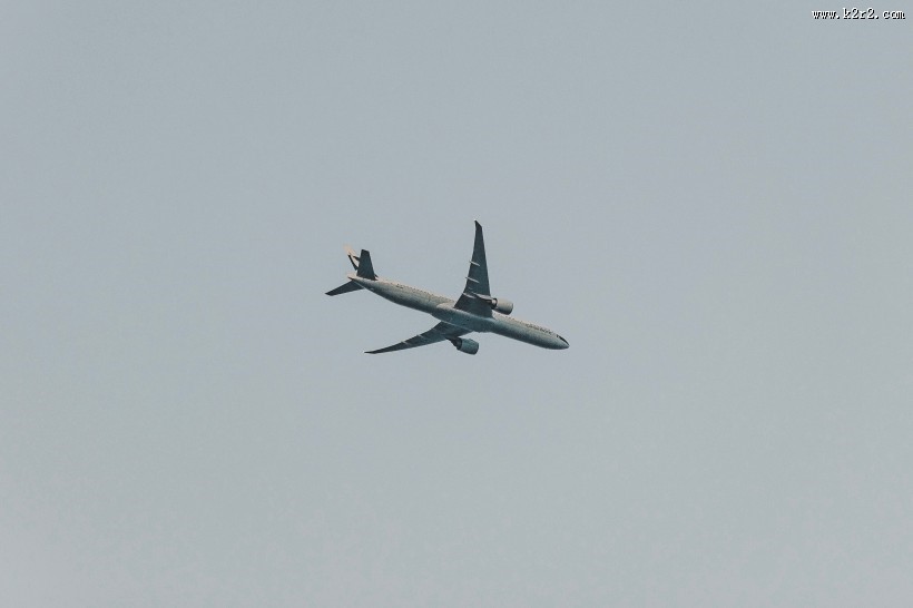 翱翔的飞机图片