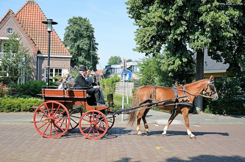 荷兰传统马车图片