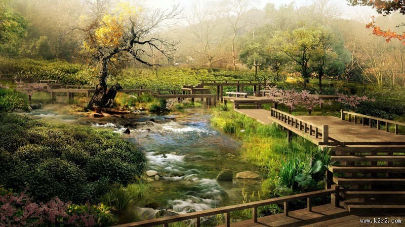 丛林中的木桥图片