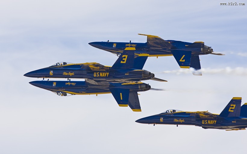 美国海军“蓝天使”飞行表演队图片