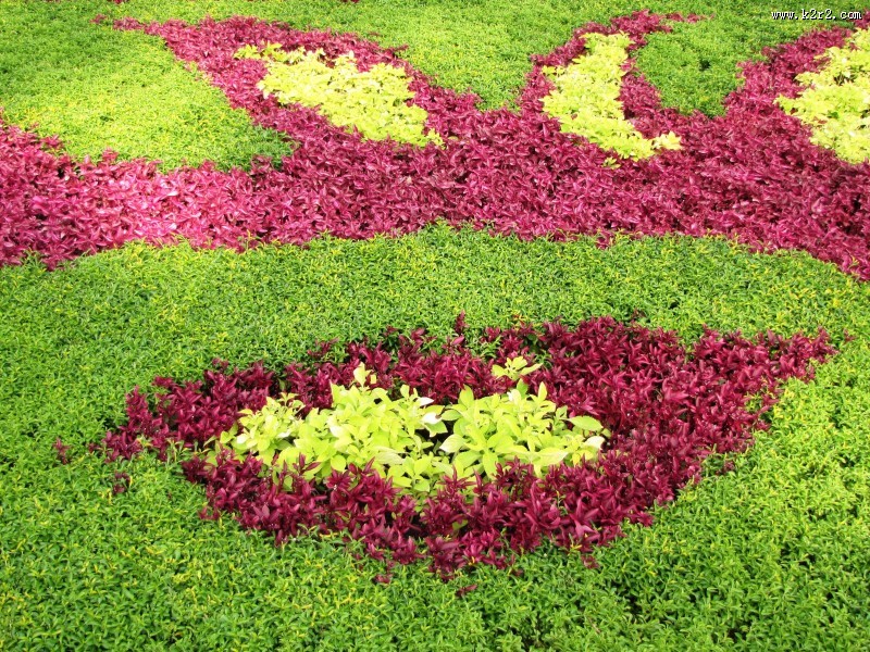 公园园艺设计图片