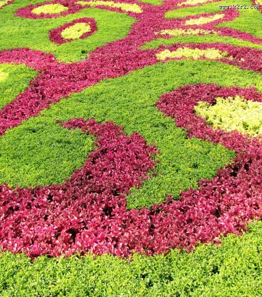 公园园艺设计图片