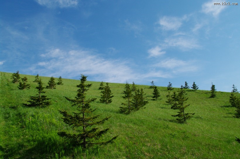 日本札幌市莫埃来沼公园图片