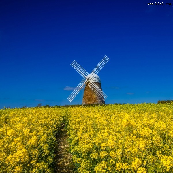 唯美的风车图片大全