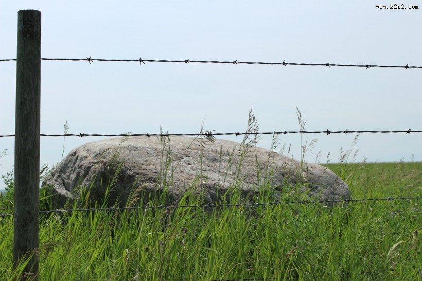 农场的铁丝网特写图片