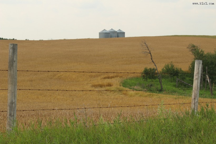 农场的铁丝网特写图片
