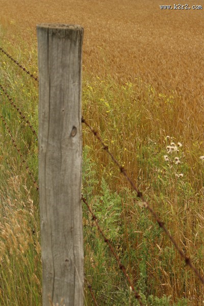 农场的铁丝网特写图片