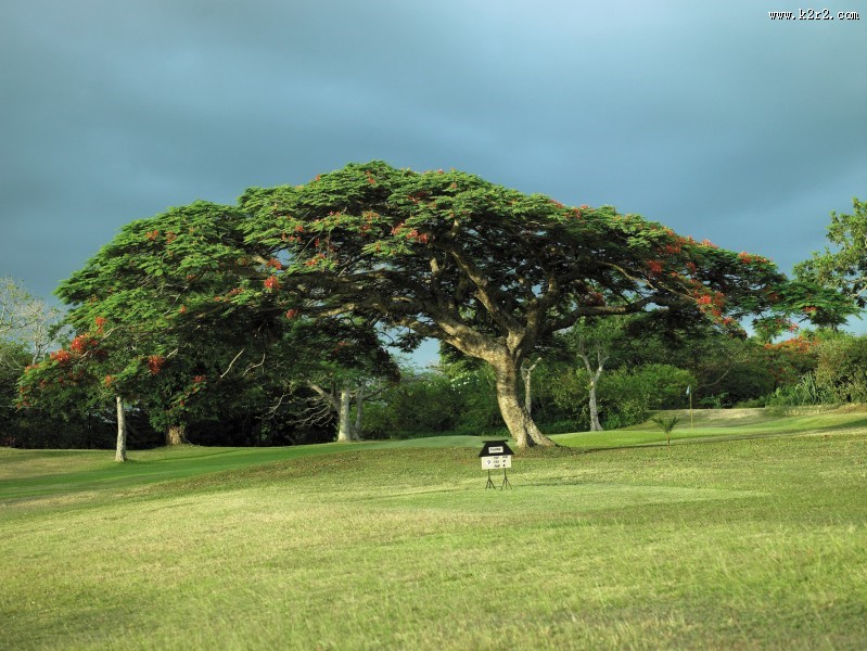 香格里拉斐济度假酒店风景图片