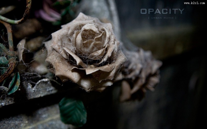 城市废墟图片大全