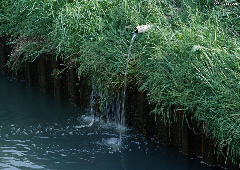 水污染图片