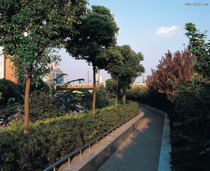城市绿化图片