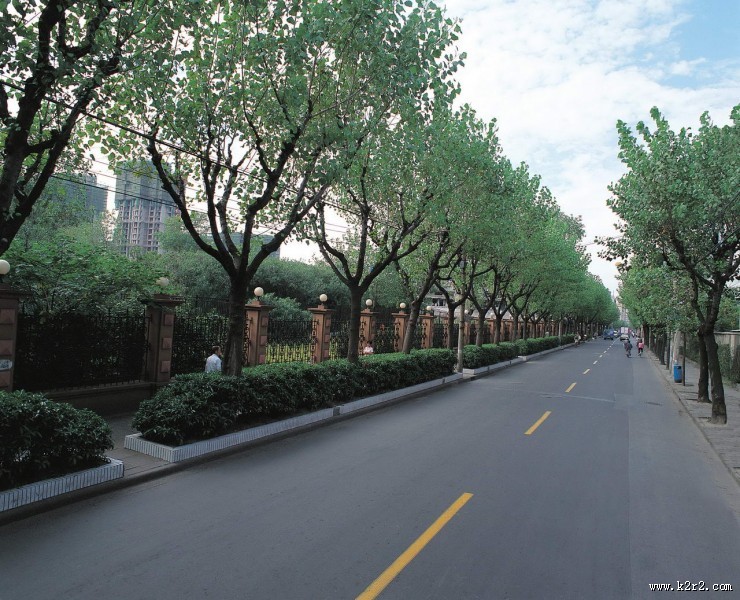城市绿化图片