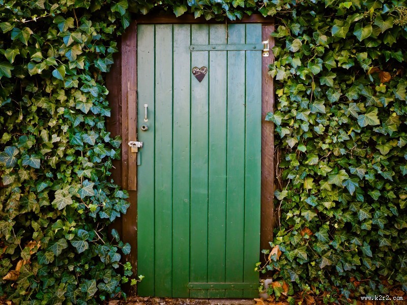 颜色各异的门图片