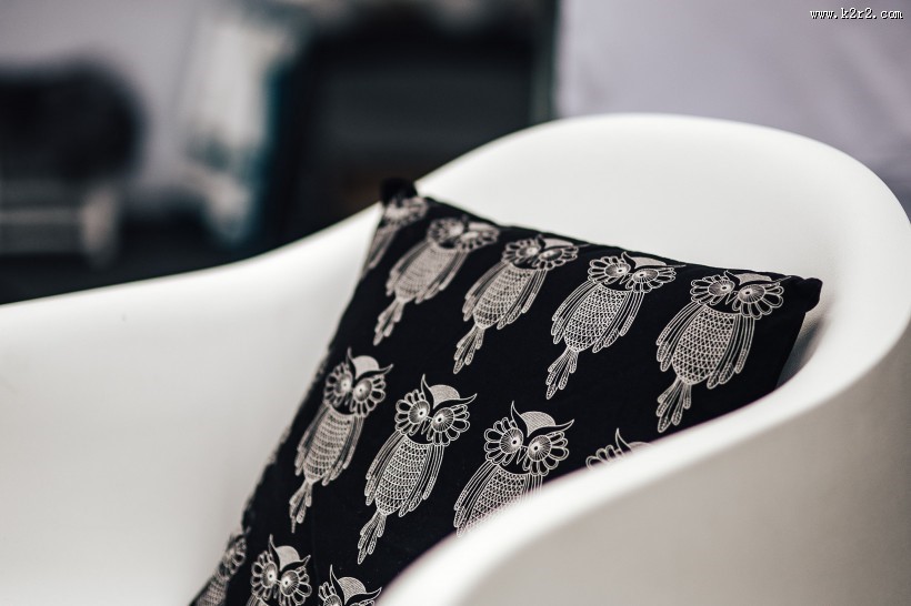 荷兰的家居装饰图片