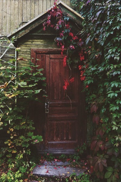 关闭的木门图片