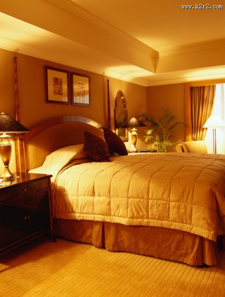 奢华的室内设计图片