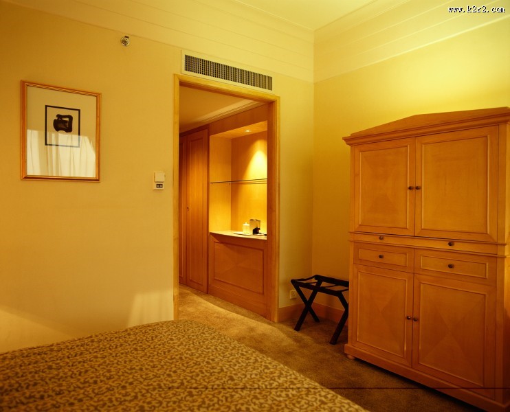 奢华的室内设计图片