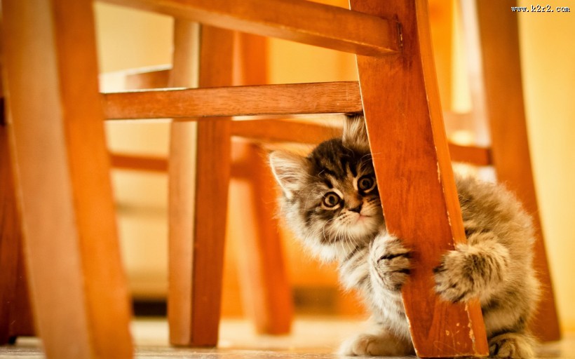 休闲的木椅图片