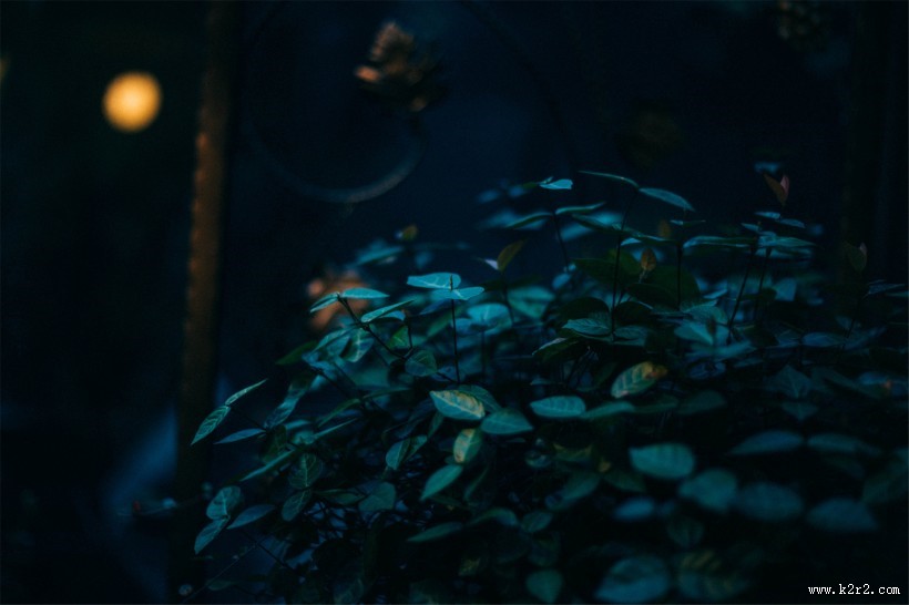 温馨舒适的青旅图片