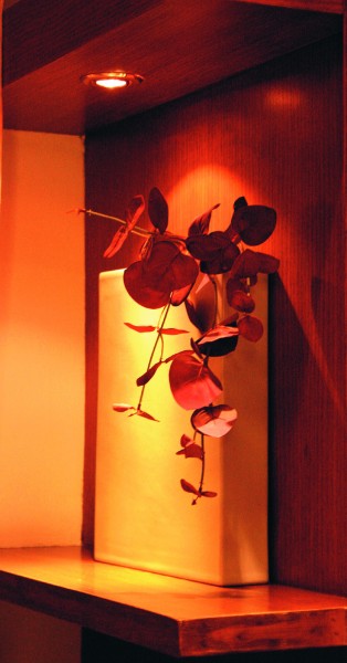 深圳东莞东田丽园室内装修设计图片