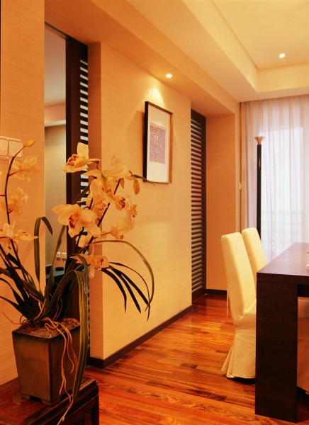 宁静3号住宅样板间图片