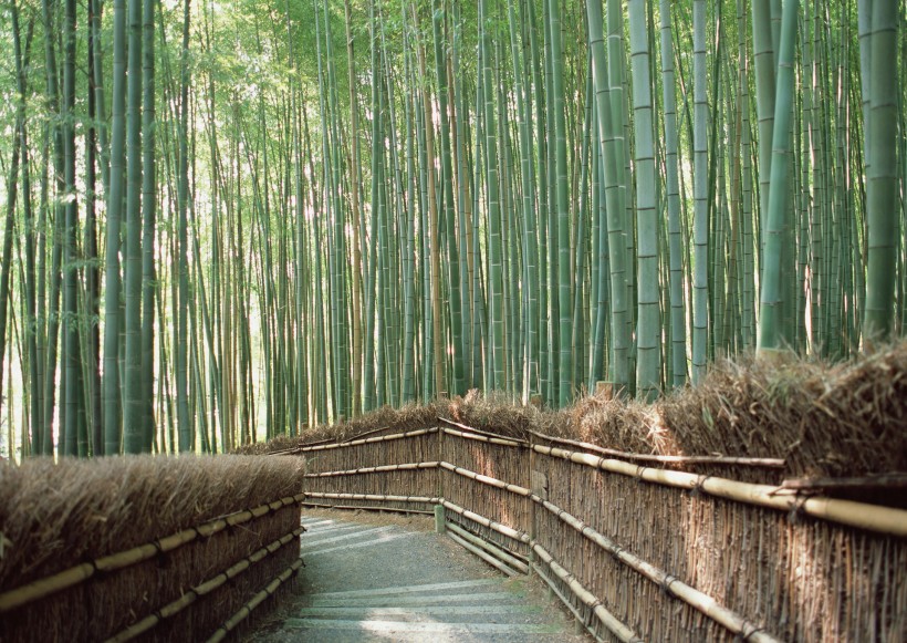 日式房子图片大全