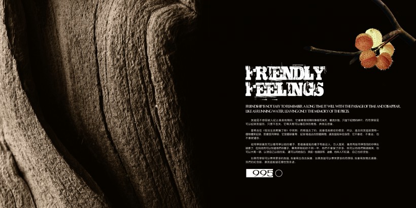 怀旧风格同学录画册设计图片