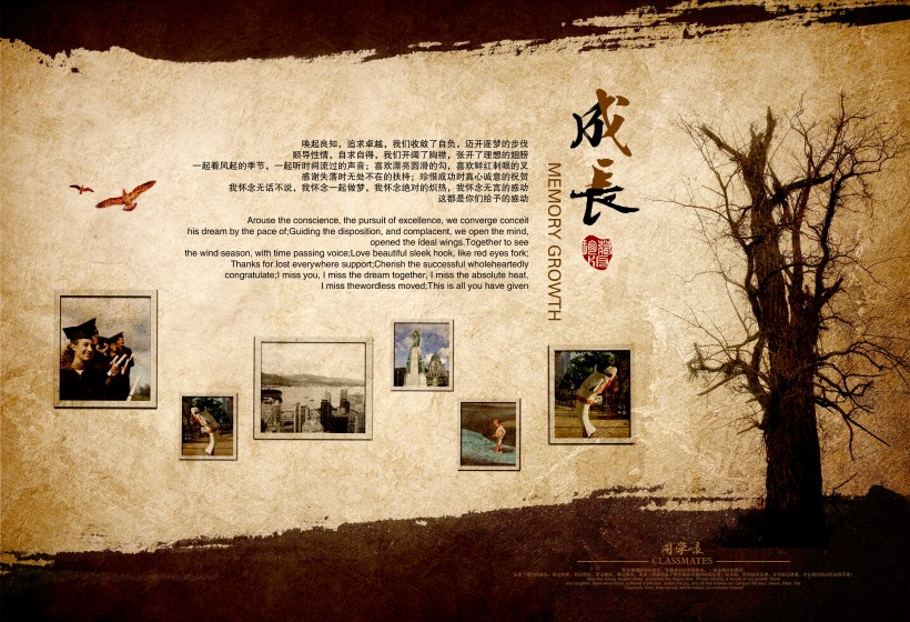 同学录画册设计图片