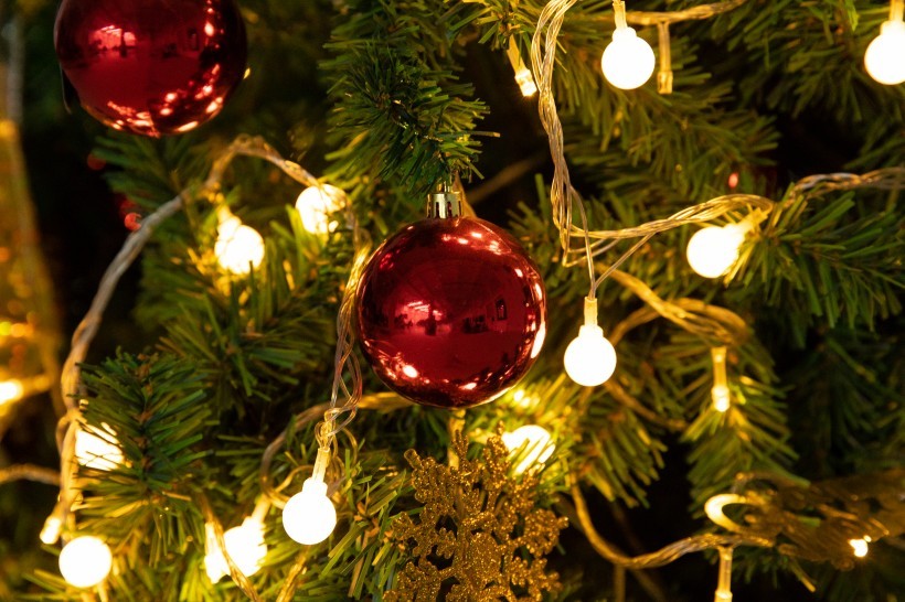 圣诞节布置的圣诞树图片