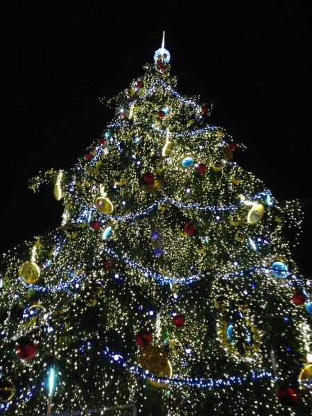 装饰精美的圣诞树图片大全