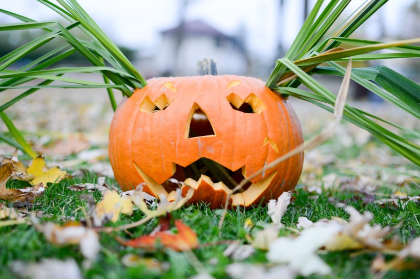 万圣节南瓜灯高清图片大全